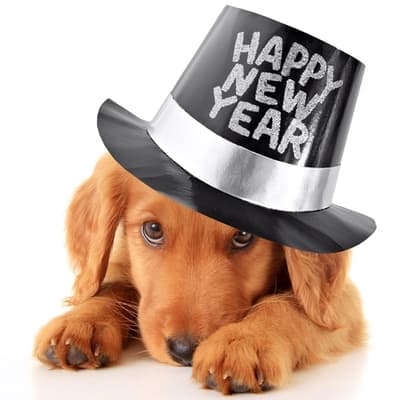 Happy New Year Tucson newsletter