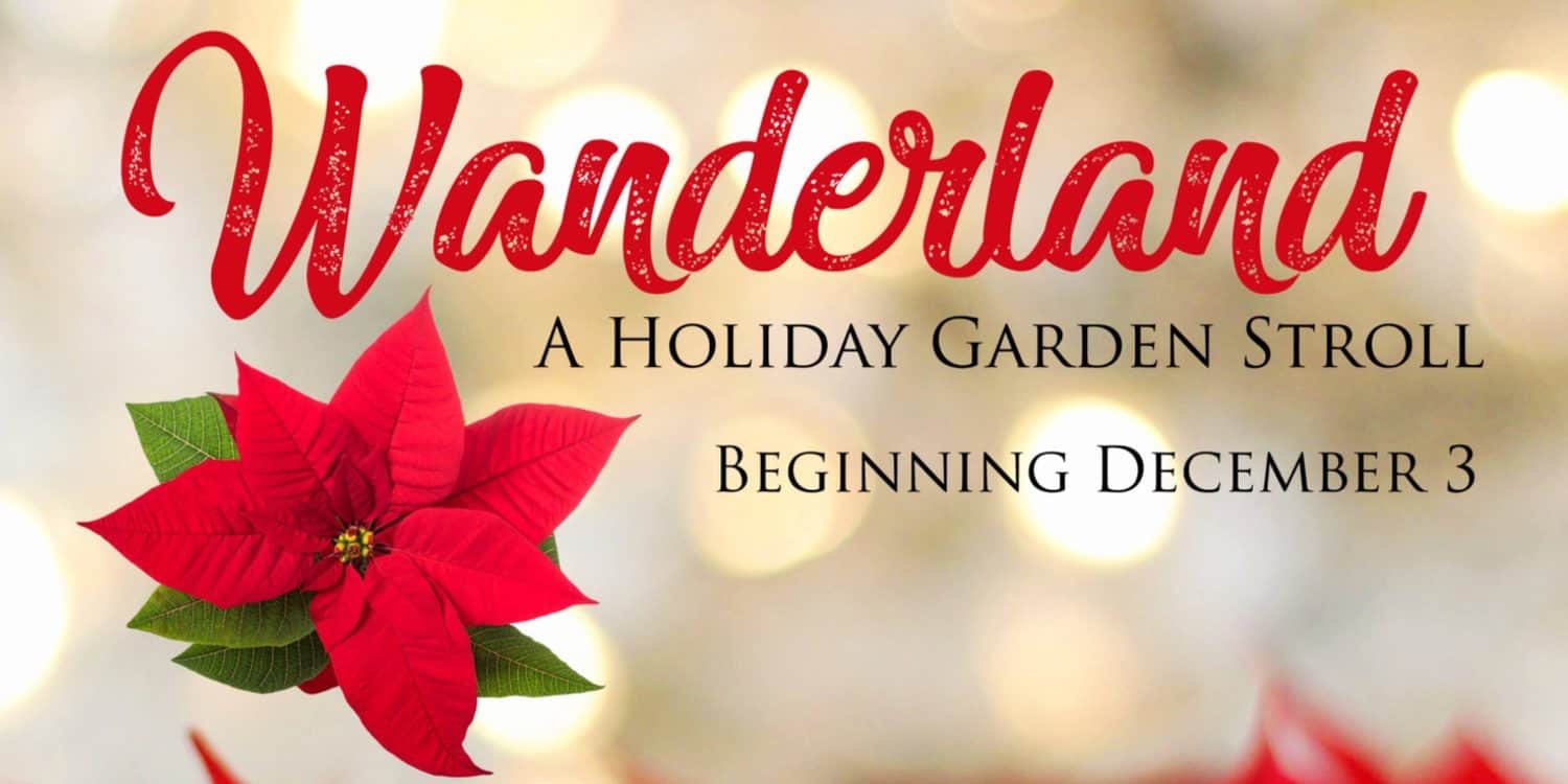 Wanderland Holiday Lights Tucson Botanical Gardens | Holiday Lights in Tucson 2021