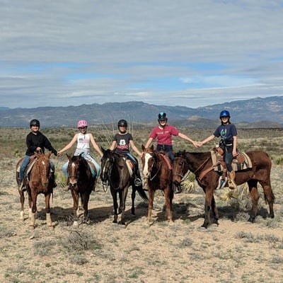 just horsin around summer camps 2021 newsletter