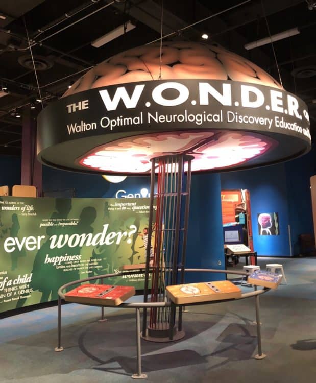 walton optimal neurological discovery arizona science center | What to Expect: A Day Trip to the Arizona Science Center