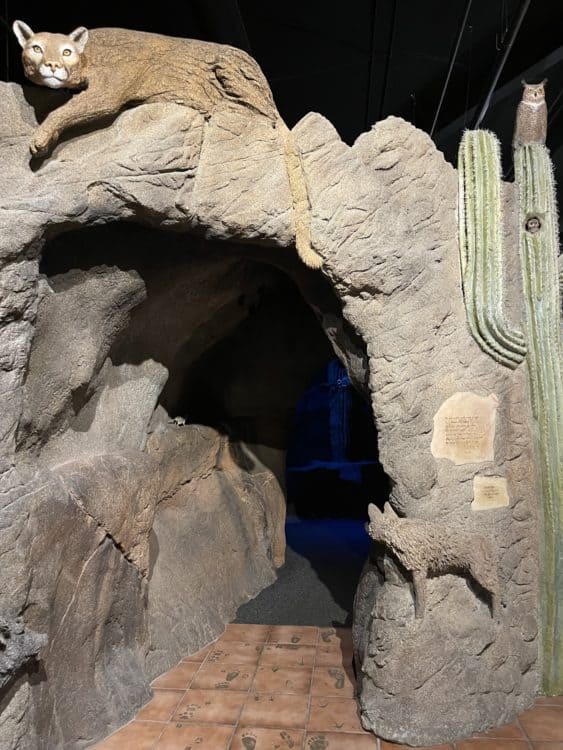 Cave International Wildlife Museum Tucson | International Wildlife Museum - Attraction Guide