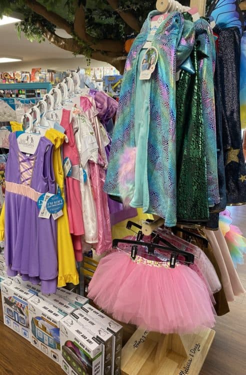 Great Pretenders Little Adventures Halloween Costumes Mildred Dildred Tucson | Where to Buy Halloween Costumes in Tucson
