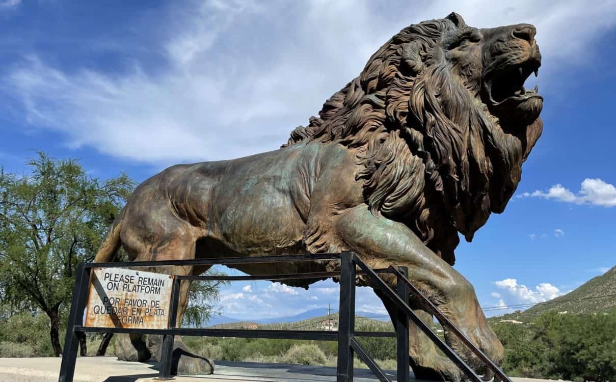 Lion Outside International Wildlife Museum Tucson | International Wildlife Museum - Attraction Guide