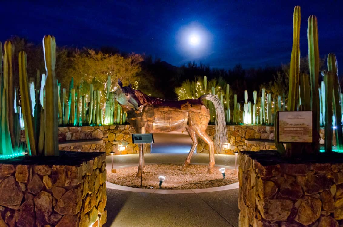 Holiday Nights Lights Tohono Chul Horse | Holiday Lights in Tucson 2022