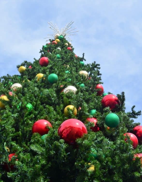Merry Main Street Christmas Tree Mesa Arizona | Best Holiday Events in Phoenix 2023