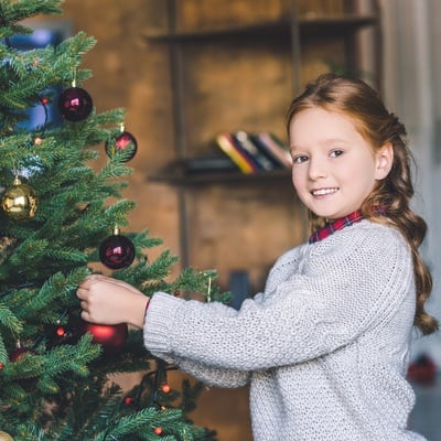 holiday christmas newsletter