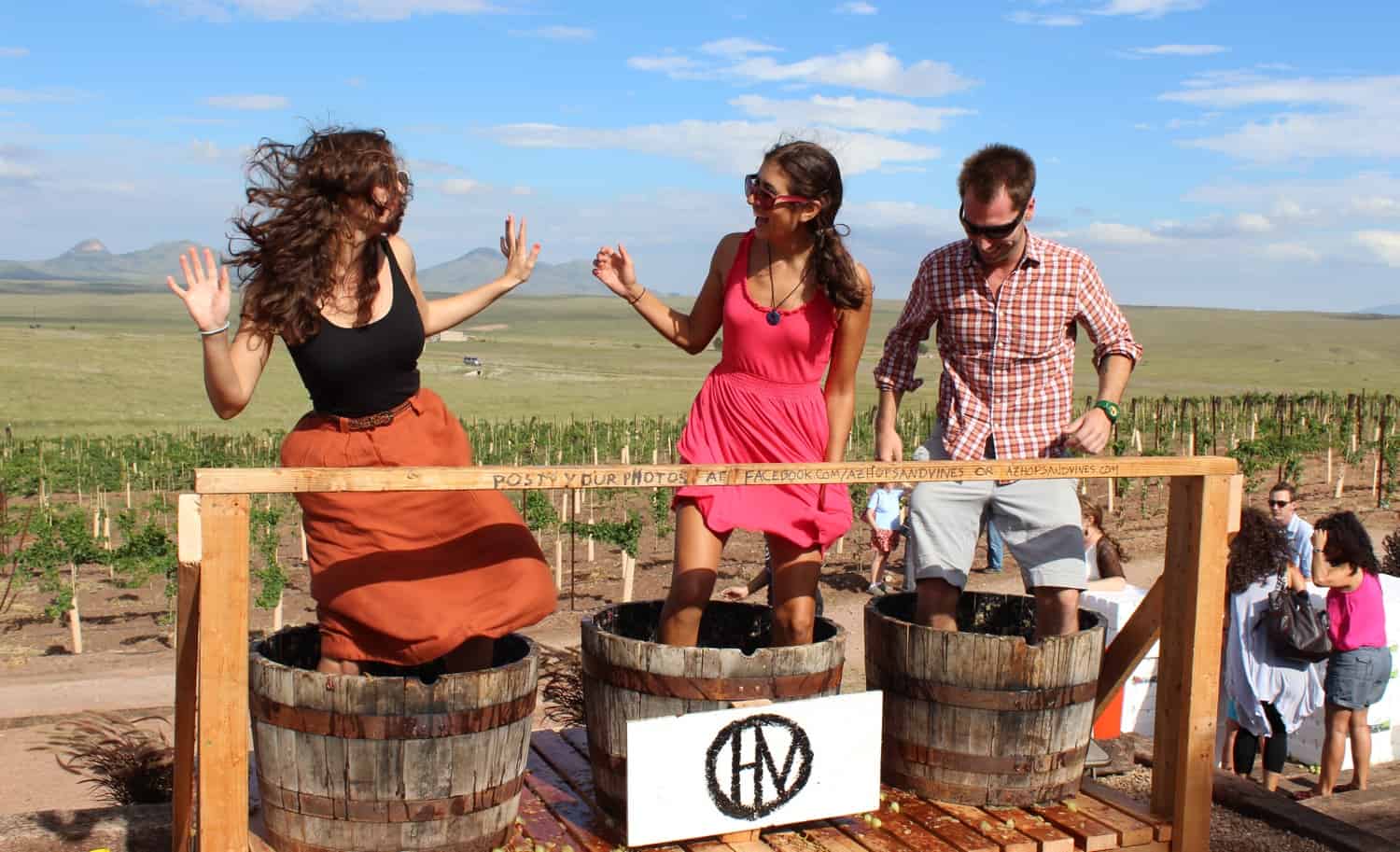 14 Best Wineries to Visit in Sonoita / Elgin TucsonTopia