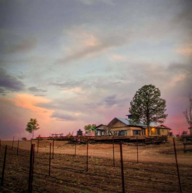Arizona Hops Vines Property | 14 Best Wineries to Visit in Sonoita / Elgin