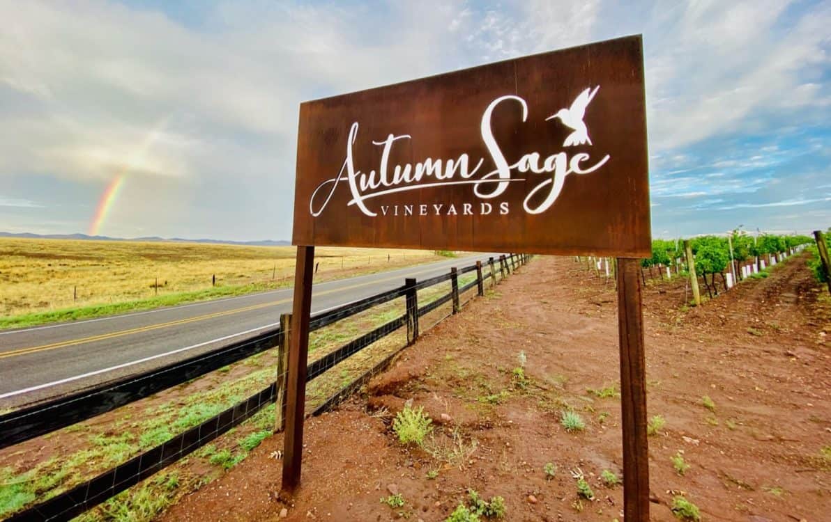 Autumn Sage Vineyards Elgin Arizona | 14 Best Wineries to Visit in Sonoita / Elgin