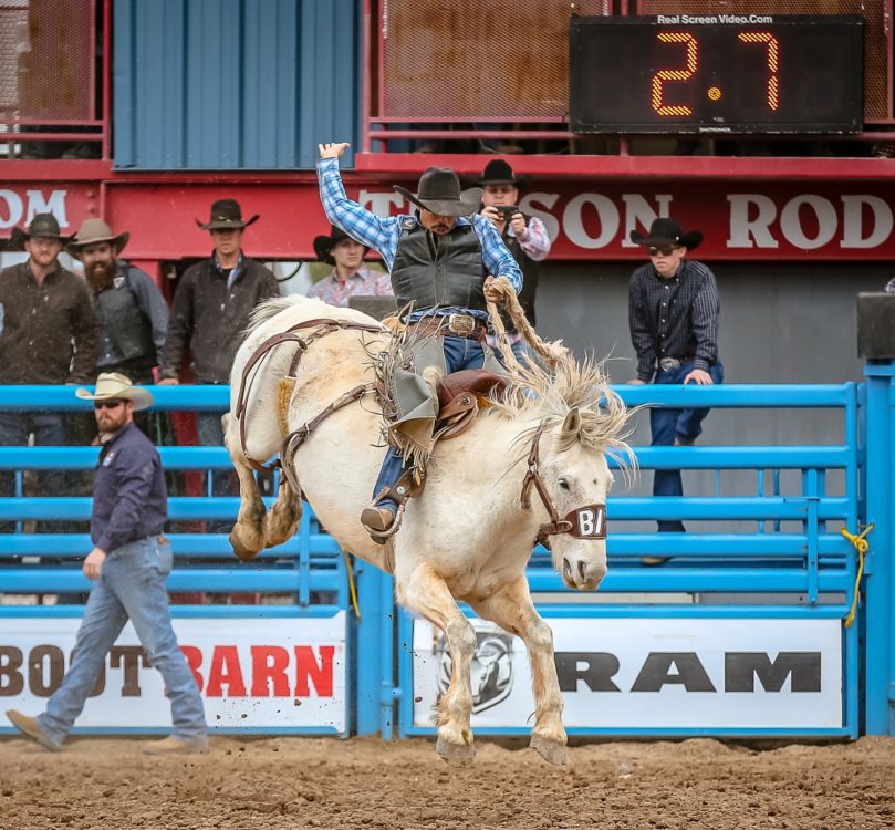 Leon Fountain Winner Tucson Rodeo | Tucson Rodeo - Event Guide