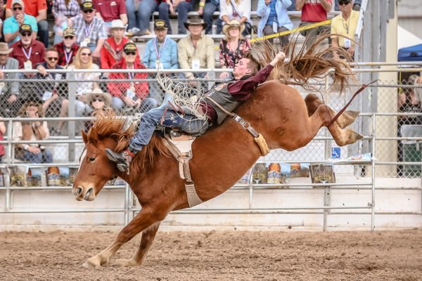 Orin Larsen Winner Tucson Rodeo | Tucson Rodeo Guide - Tickets, Parking, Barn Dances, Parade
