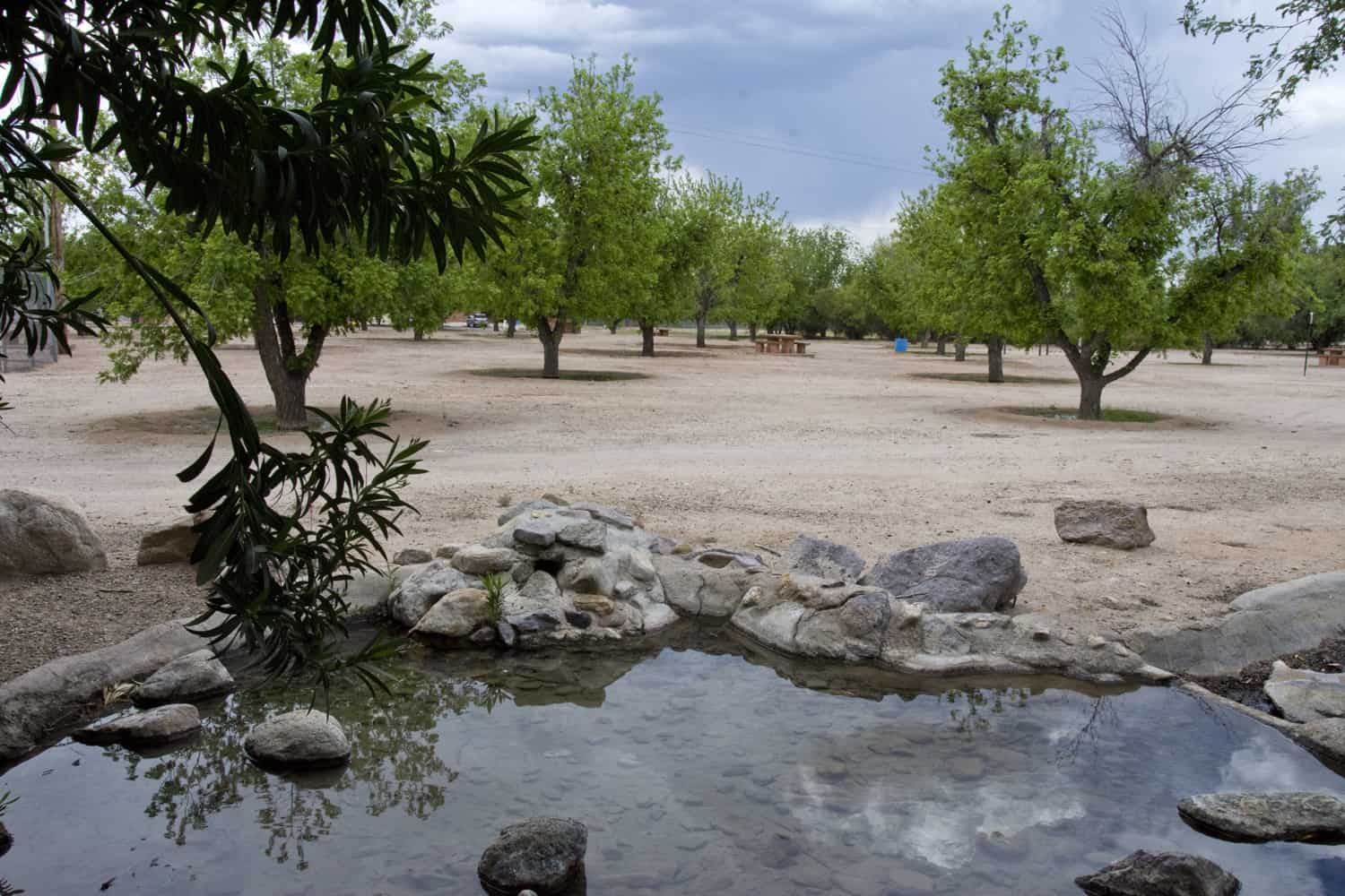 Pond Grove Fort Lowell Park Tucson | Park Profile: Fort Lowell Park