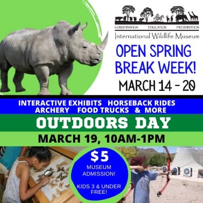 Outdoors Day/Spring Break (400 × 400 px)