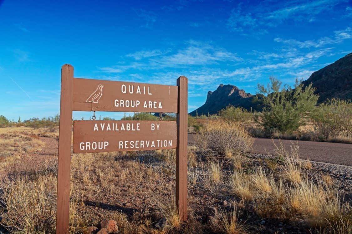 Picacho Peak Quail Group Area | Picacho Peak State Park: A Guide