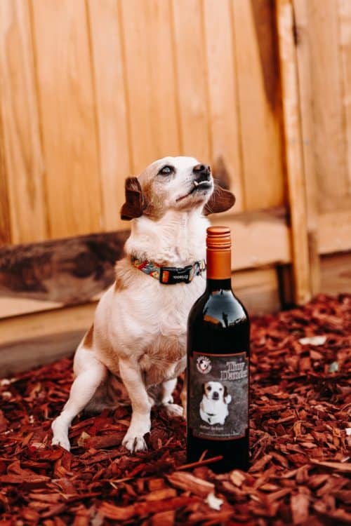 Rancho Rossa Vineyards Winery Animal Rescue Bottle Elgin Arizona | 14 Best Wineries to Visit in Sonoita / Elgin