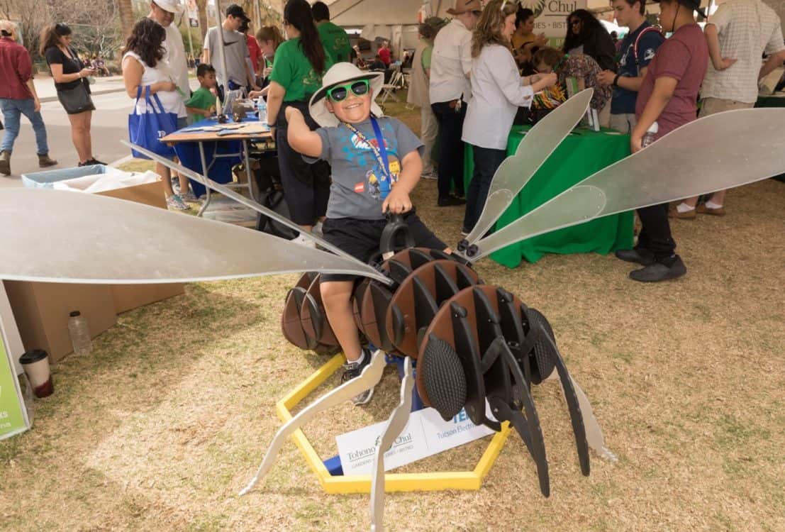 Science City Giant Bug Tucson Festival of Books | Tucson Festival of Books - Event Guide