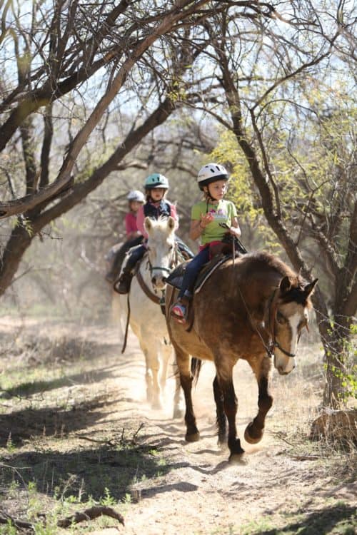 Kids Trail Ride Tanque Verde Ranch | Tanque Verde Ranch: An All-Inclusive Vacation in Tucson, AZ