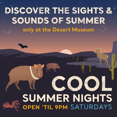 Cool Summer Nights Desert Museum