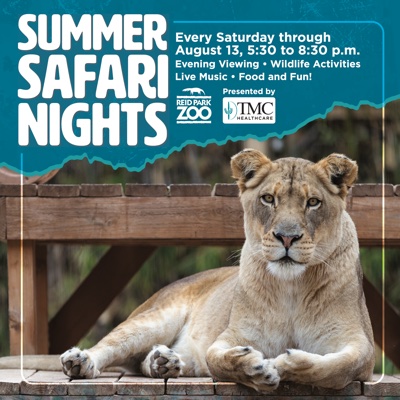Summer Safari Nights Reid Park Zoo