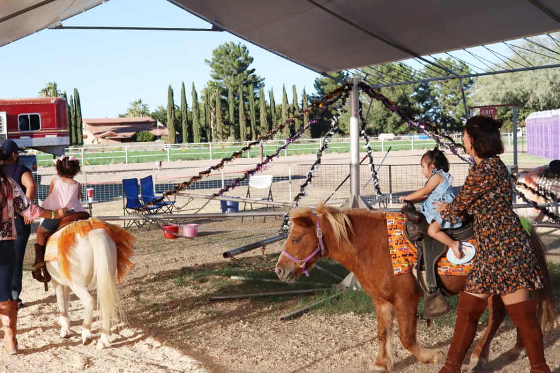 Pony Rides Marana Pumpkin Patch | Which Tucson Pumpkin Patch is Best?