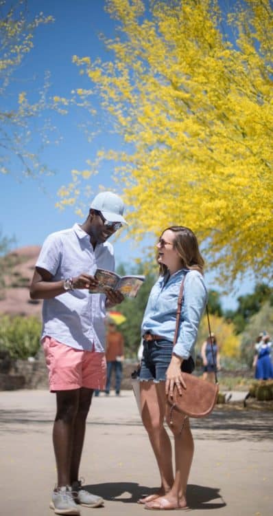 Date Desert Botanical Garden Phoenix | ROAD TRIP: Guide to Scottsdale