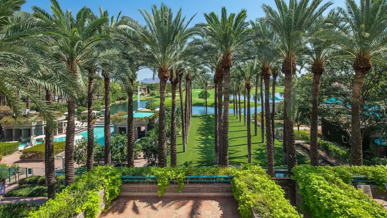 Hyatt Regency Scottsdale Resort Spa Gainey Ranch Palm Trees | ROAD TRIP: Guide to Scottsdale