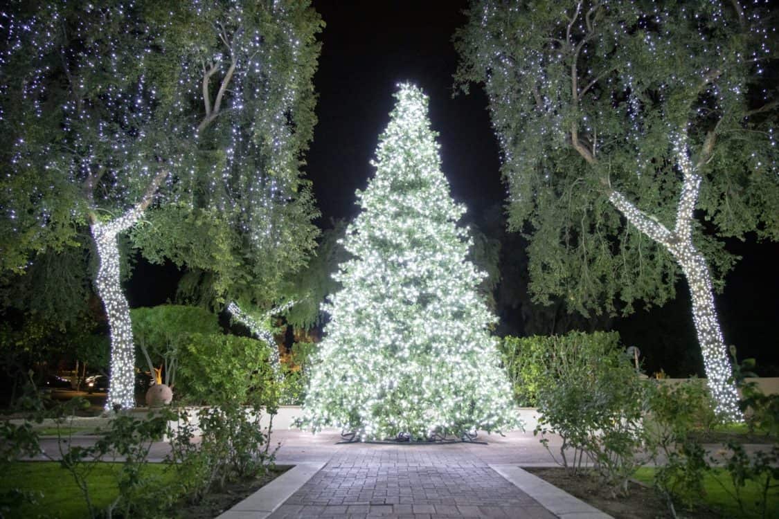 Light Tree Christmas at the Princess Fairmont Scottdale | Christmas at the Princess - A Magical Scottsdale Getaway!