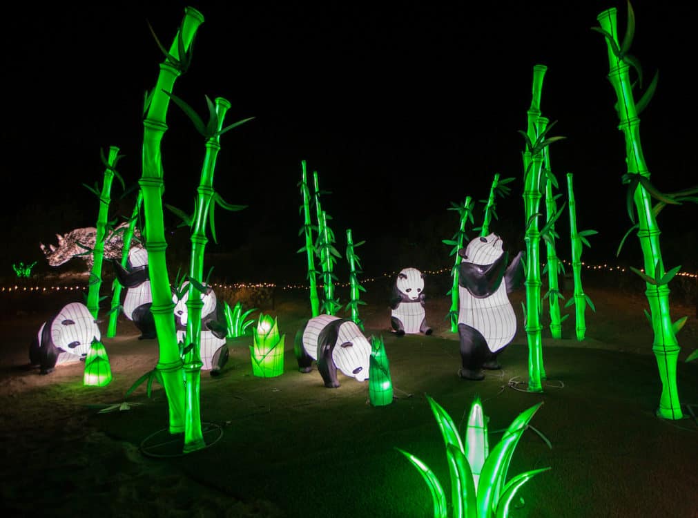ZooLights Panda Bears Phoenix Zoo | Holiday Events in Phoenix 2022