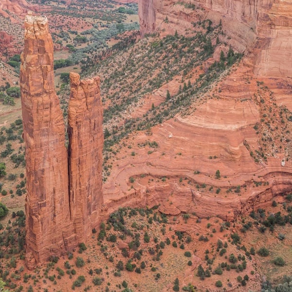 Canyon De Chelly newsletter
