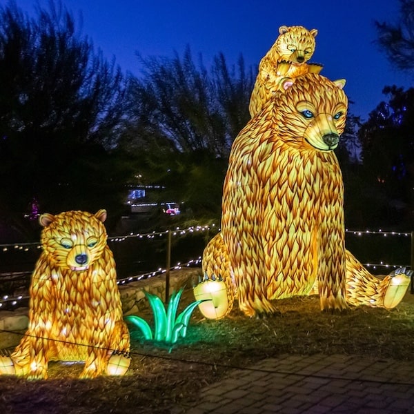 Holiday Lights newsletter