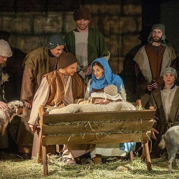 Living Nativity Newsletter