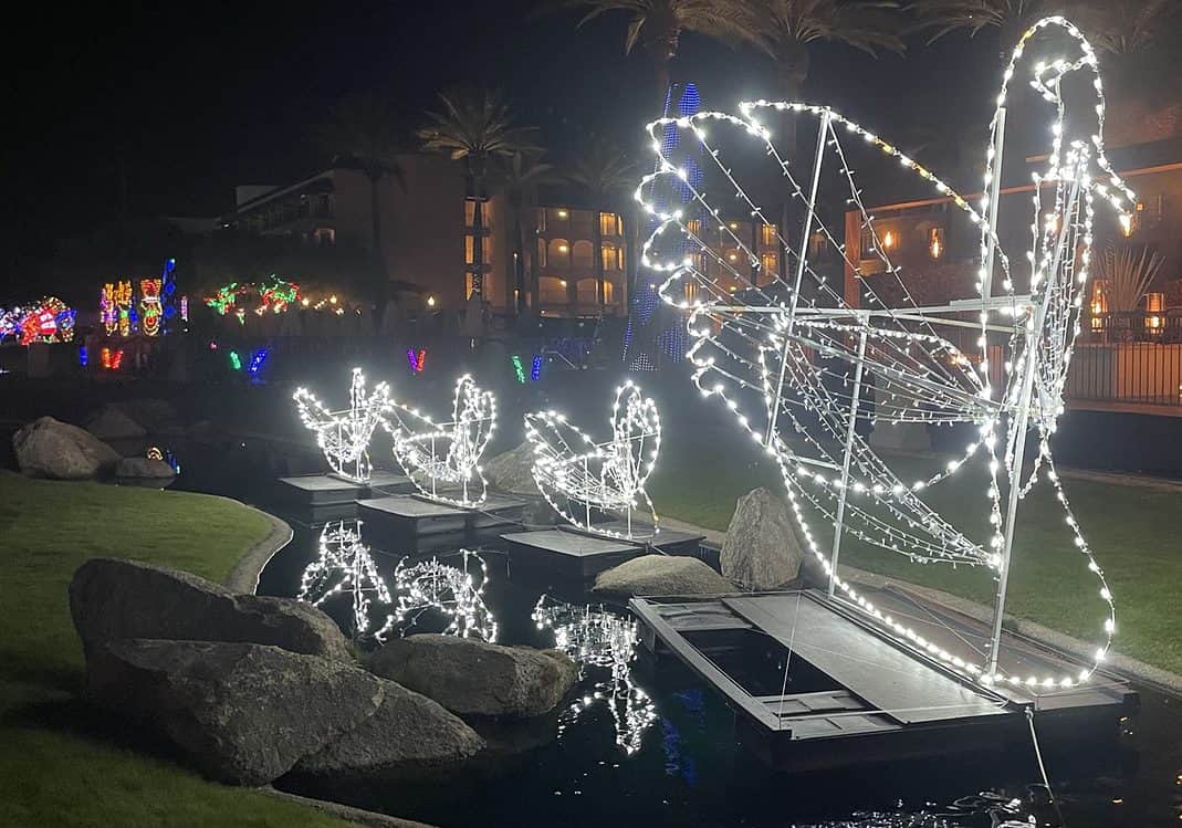 Swans Christmas at the Princess Fairmont Scottsdale | Christmas at the Princess - A Magical Scottsdale Getaway!