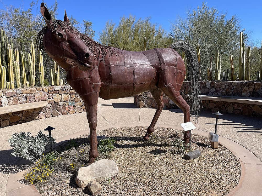 Horse Sculpture Art Tohono Chul Tucson | Children's Museum Oro Valley at Tohono Chul - Attraction Guide