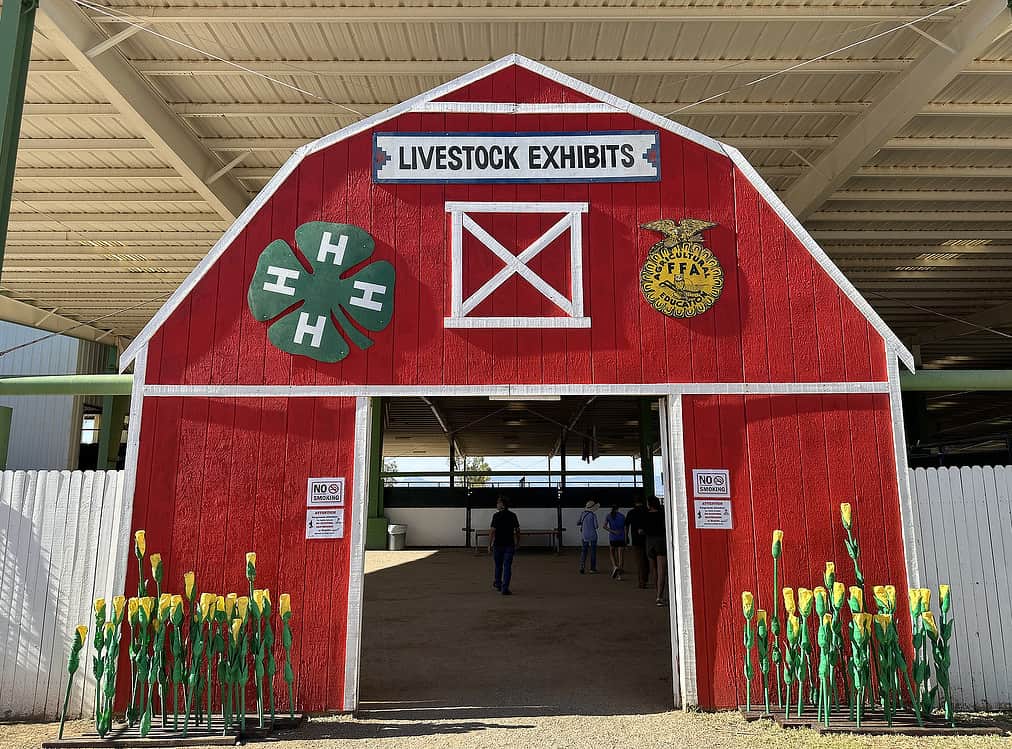Livestock Exhibits Pima County Fair Tucson | Pima County Fair 2023 - Attraction Guide