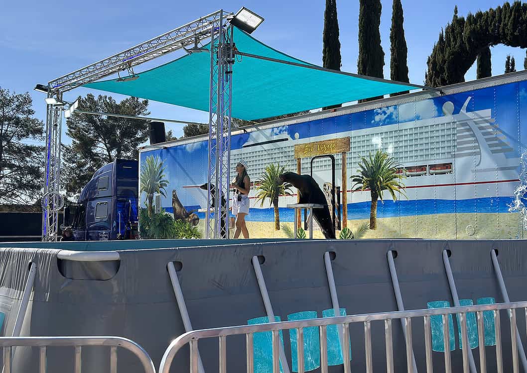 Sea Lion Splash Show Pima County Fair Tucson | Pima County Fair 2024 - Attraction Guide