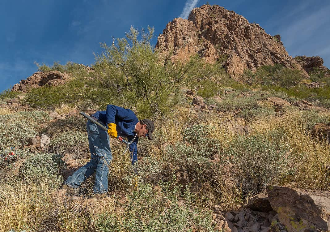 Volunteer The Sonoran Desert Weedwackers Tucson | Places for Teens to Volunteer in Tucson
