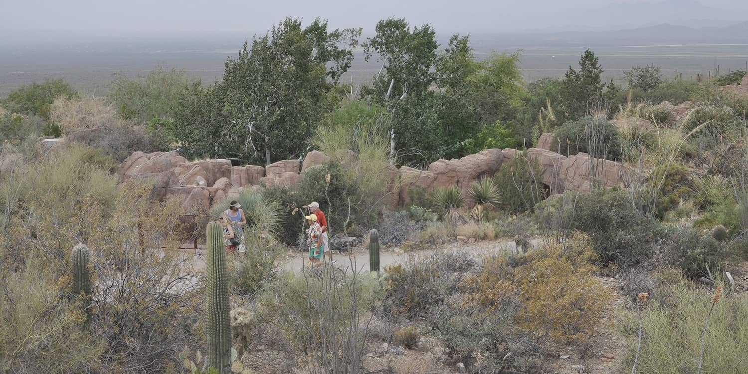 wide open spaces desert Tucson Arizona | 45 Reasons to Move to Tucson