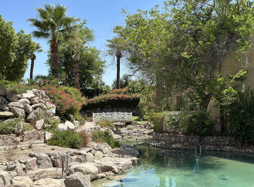 Beautiful Bridge Scenic Phoenician Resort Luxury Collection Scottsdale | Resort Report: The Phoenician (Scottsdale)