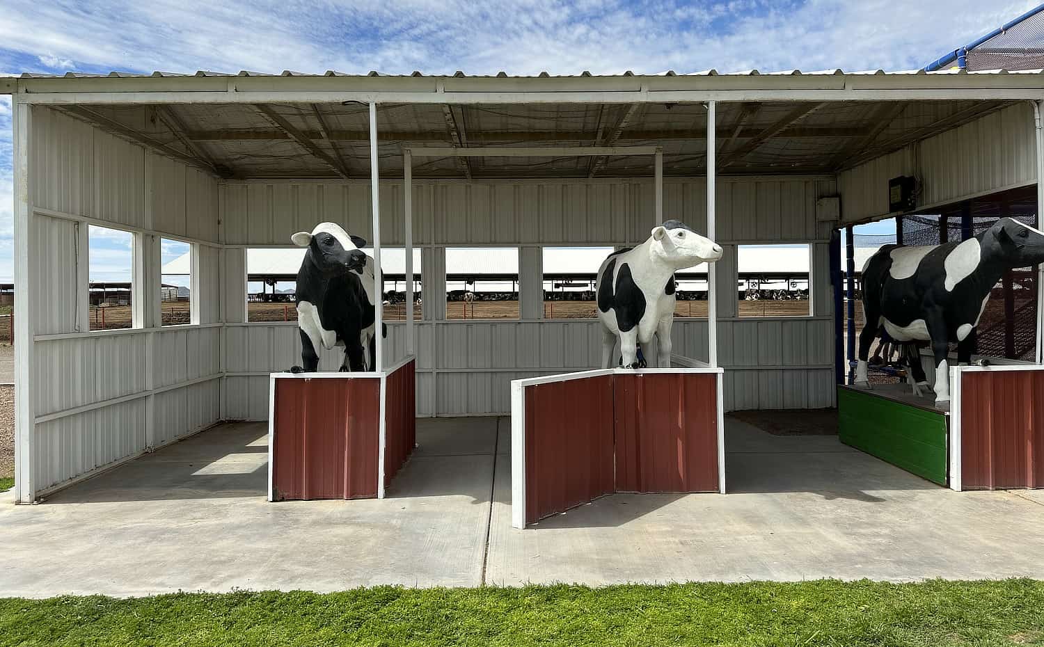 Shamrock Farms Farm Tours & Field Trips TucsonTopia