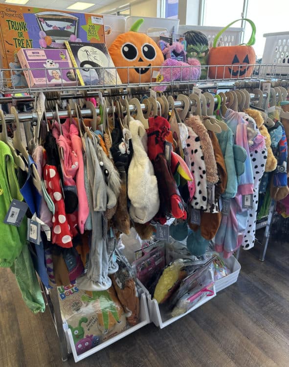Halloween Costumes Accessories Babies Toddlers Little Bird Nesting Company Tucson | Where to Buy Halloween Costumes in Tucson