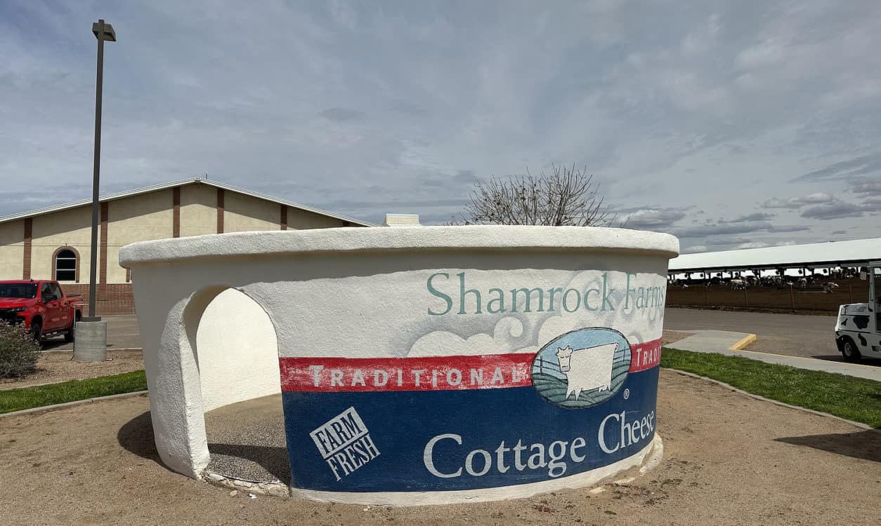 Shamrock Farms Stand Inside Giant Cottage Cheese Stanfield Arizona | Shamrock Farms | Farm Tours & Field Trips