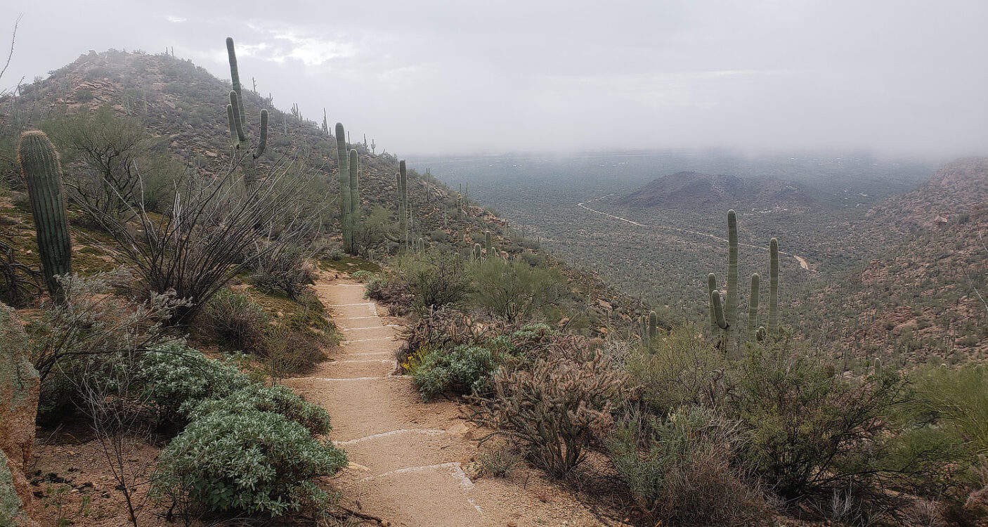 Hugh Norris Trail near Ridge Saguaro National Park West Tucson | Saguaro National Park - Attraction Guide
