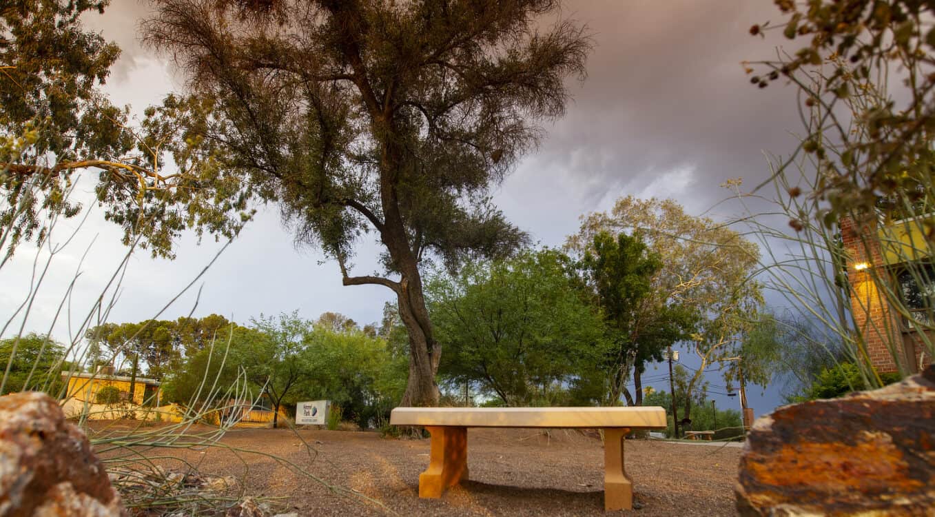 Bench Outside Himmel Park Library Tucson | Himmel Park Library Guide - Parking, Amenities, Events