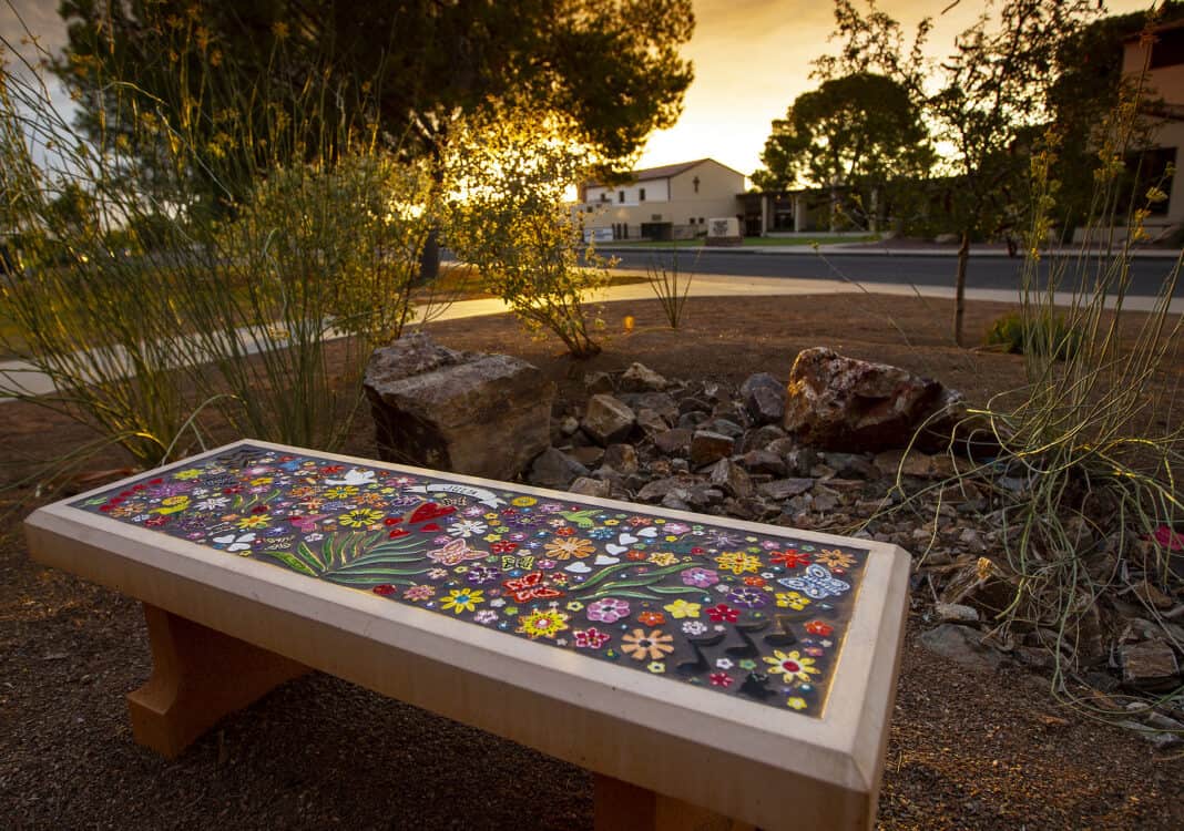 Bench at Sunset Himmel Park Library Tucson | Himmel Park Library Guide - Parking, Amenities, Events