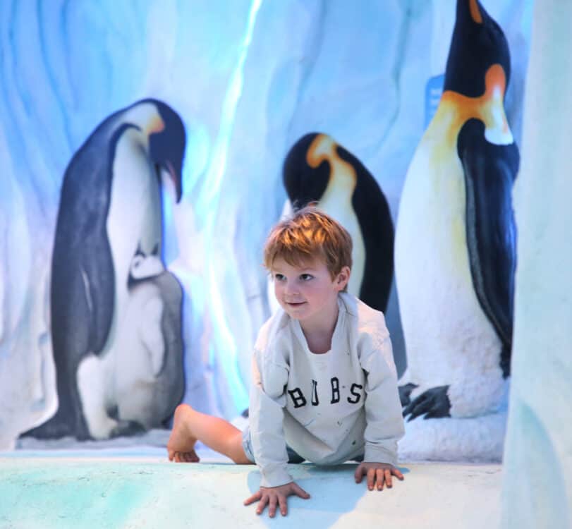 Preschooler Antarctic Ice Cave World of Play Reid Park Zoo Tucson | Ultimate Guide to Reid Park Zoo