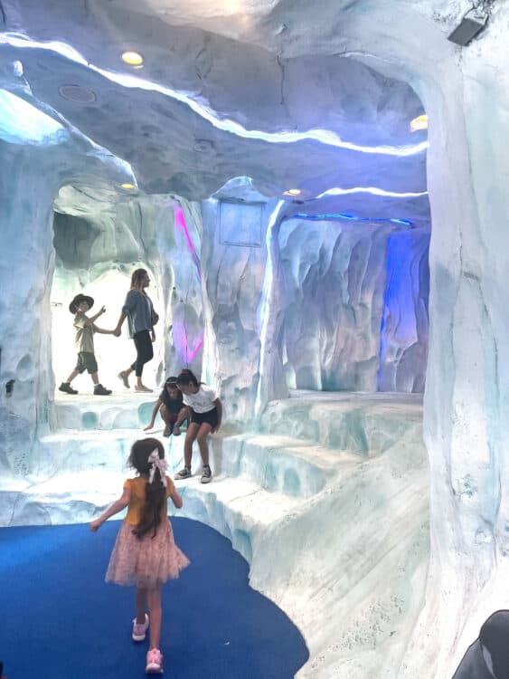 World of Play Antarctic Ice Cave Reid Park Zoo Tucson | Ultimate Guide to Reid Park Zoo