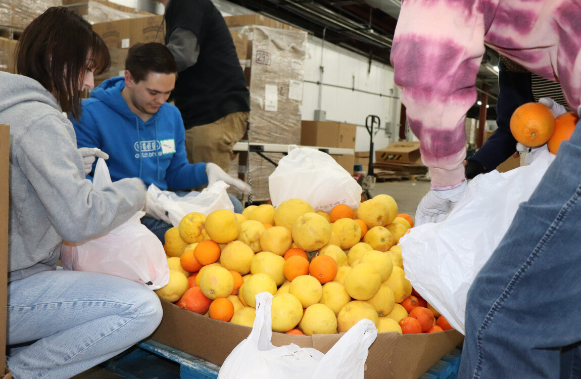 Volunteers Sorting Citrus Community Food Bank of Southern Arizona Tucson | Volunteer in Tucson: Community Food Bank of Southern Arizona
