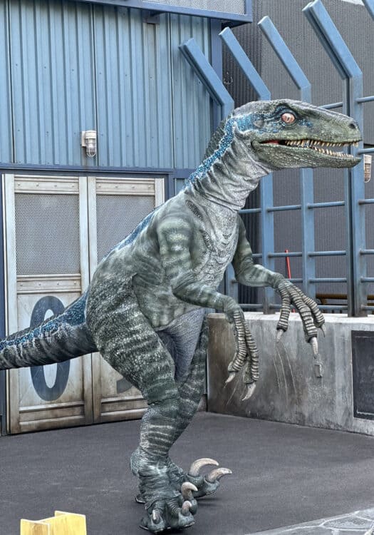 Raptor Encounter Lifelike Universal Studios Hollywood | Road Trip: Tucson to Universal Studios Hollywood