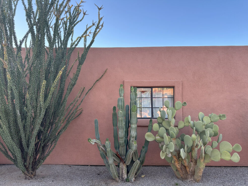 Southern Arizona Architecture Plants White Stallion Ranch Tucson | White Stallion Ranch: An All-Inclusive Vacation in Tucson