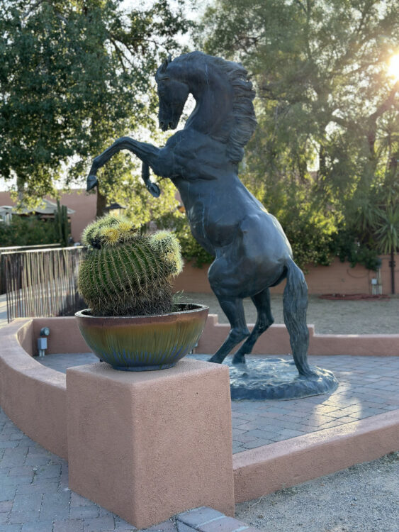 White Stallion Guest Ranch Tucson Arizona | White Stallion Ranch: An All-Inclusive Vacation in Tucson